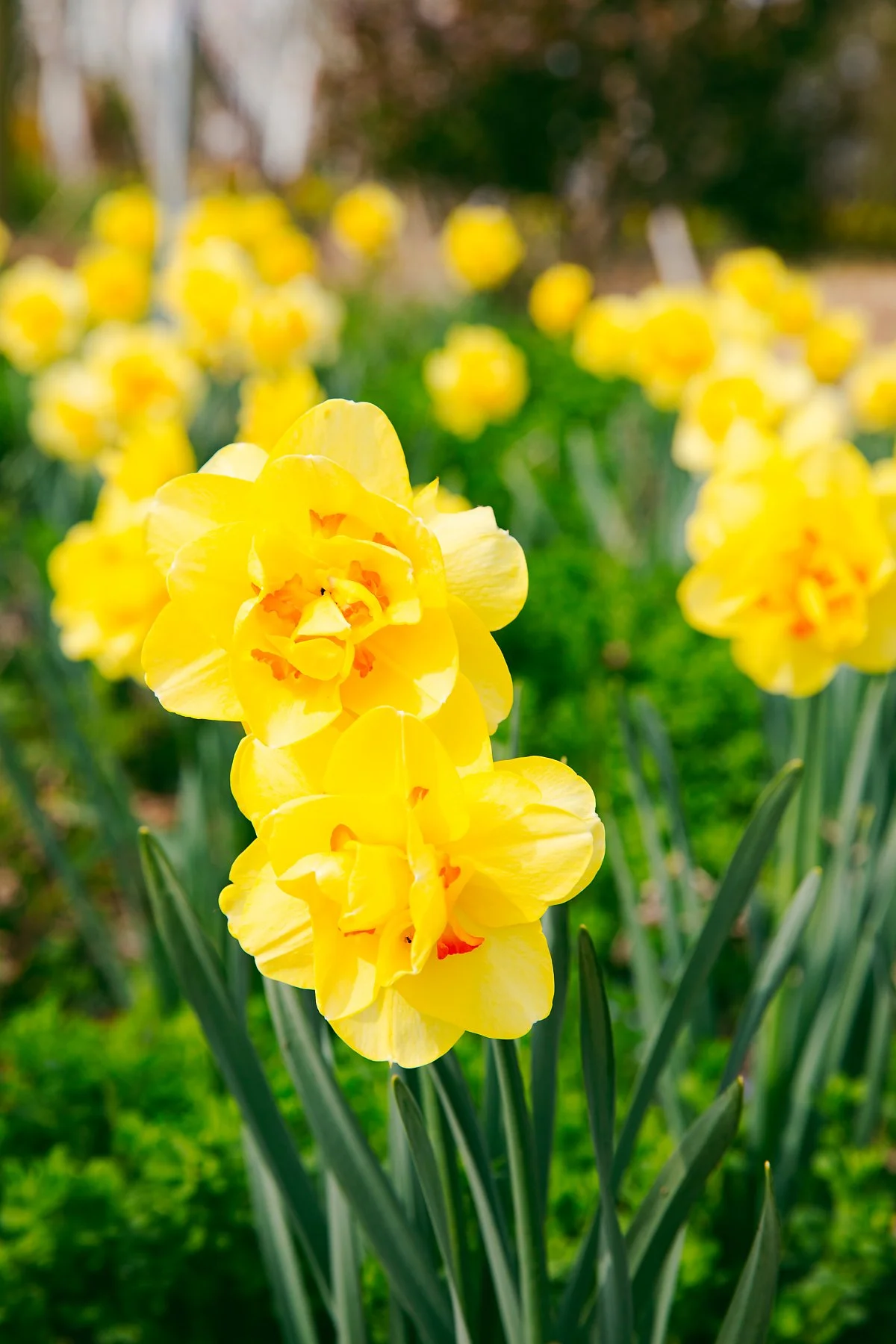 686A0100.jpg?type=w1200