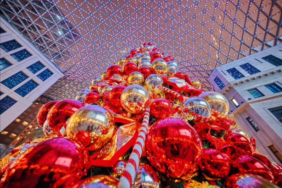 20241125_142648.jpg?type=w1200