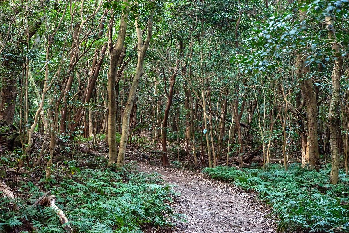 %EB%8F%99%EB%B0%B1%EB%8F%99%EC%82%B0_003.jpg?type=w1200