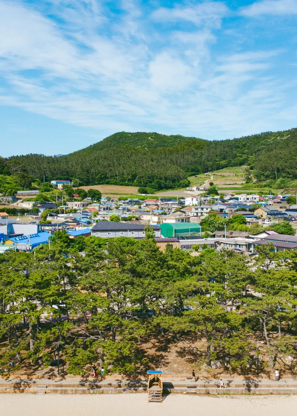 DJI_0047.jpg?type=w966