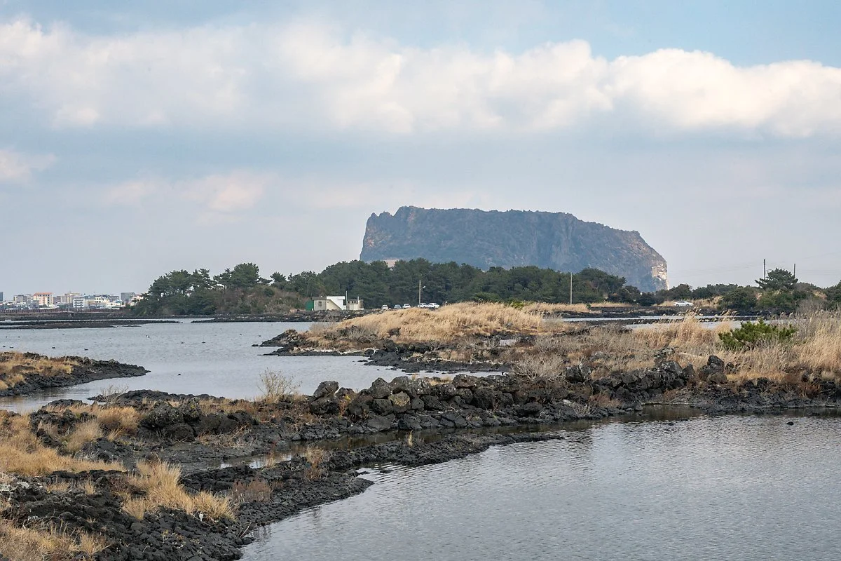 %EC%98%A4%EC%A1%B0%EB%A6%AC_%EC%9D%BC%EC%B6%9C%EB%B4%89%EC%A0%84%EB%A7%9D.jpg?type=w1200