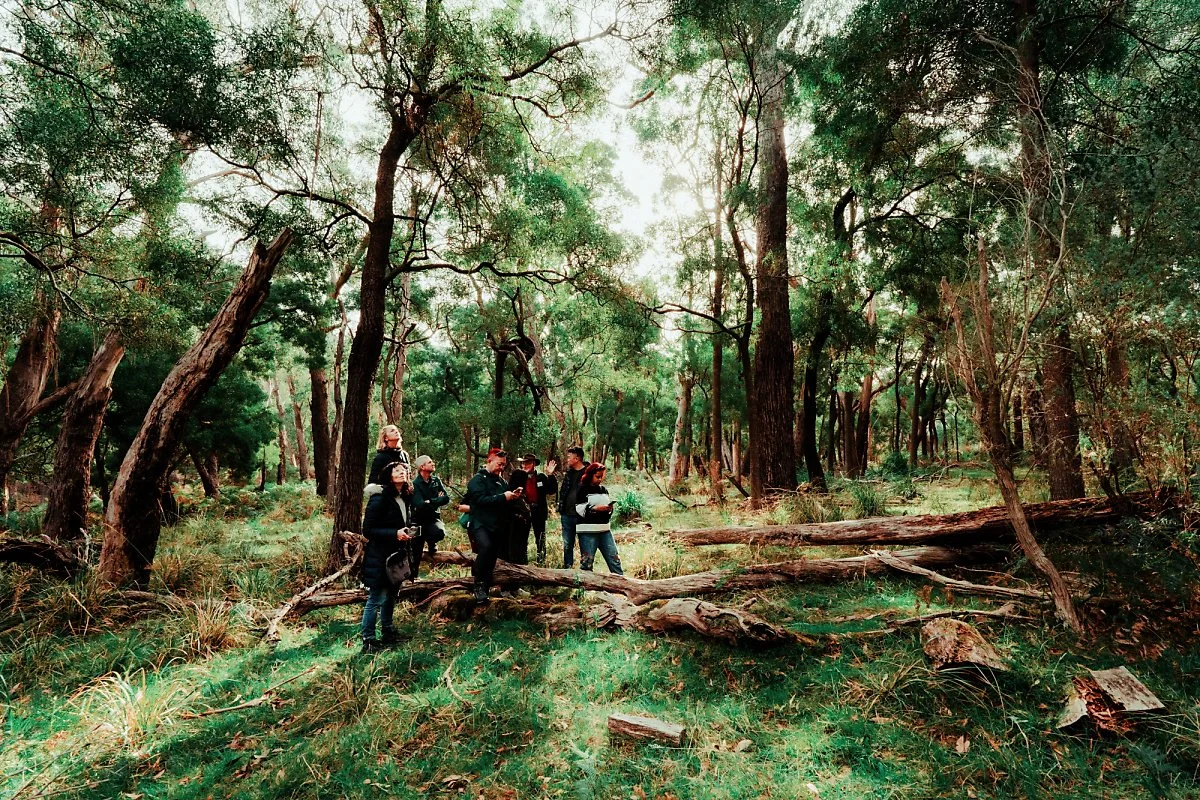 %EC%BA%A5%EA%B1%B0%EB%A3%A8_%EC%84%9C%EC%8B%9D%EC%A7%80_%2810%29.jpg?type=w1200