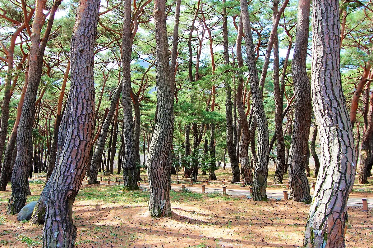 01_%EC%9A%B4%EB%AC%B8%EC%82%AC_%284%29.JPG?type=w1200