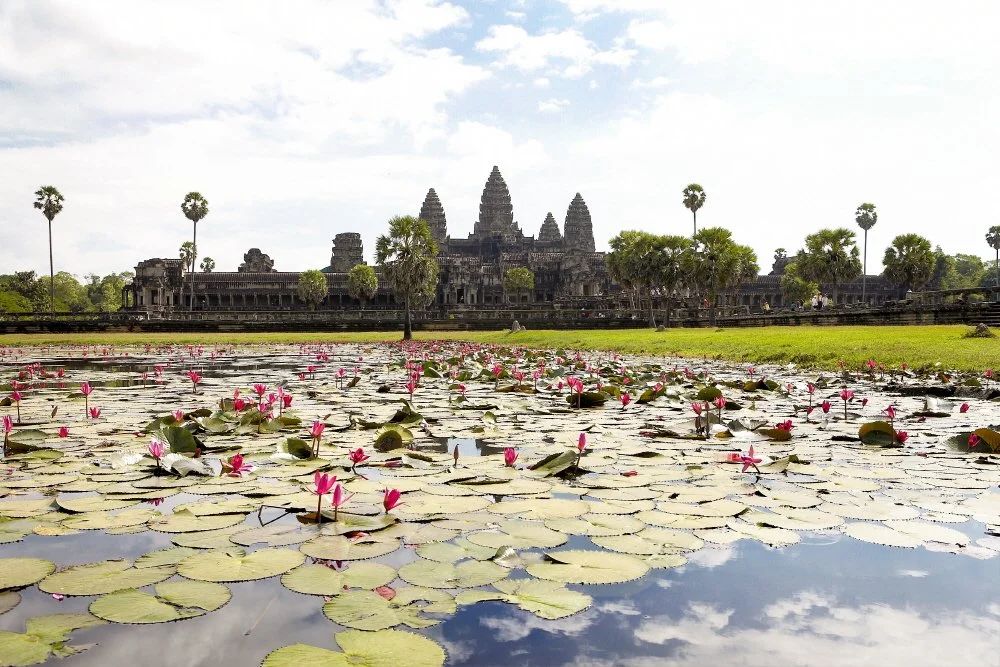 %EC%95%99%EC%BD%94%EB%A5%B4%EC%99%80%ED%8A%B8_%282%29.jpg?type=w1200