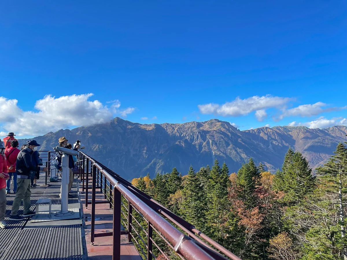 8_%EC%8B%A0%ED%98%B8%ED%83%80%EC%B9%B4_%EB%A1%9C%ED%94%84%EC%9B%A8%EC%9D%B4_%2844%29.jpg?type=w1200