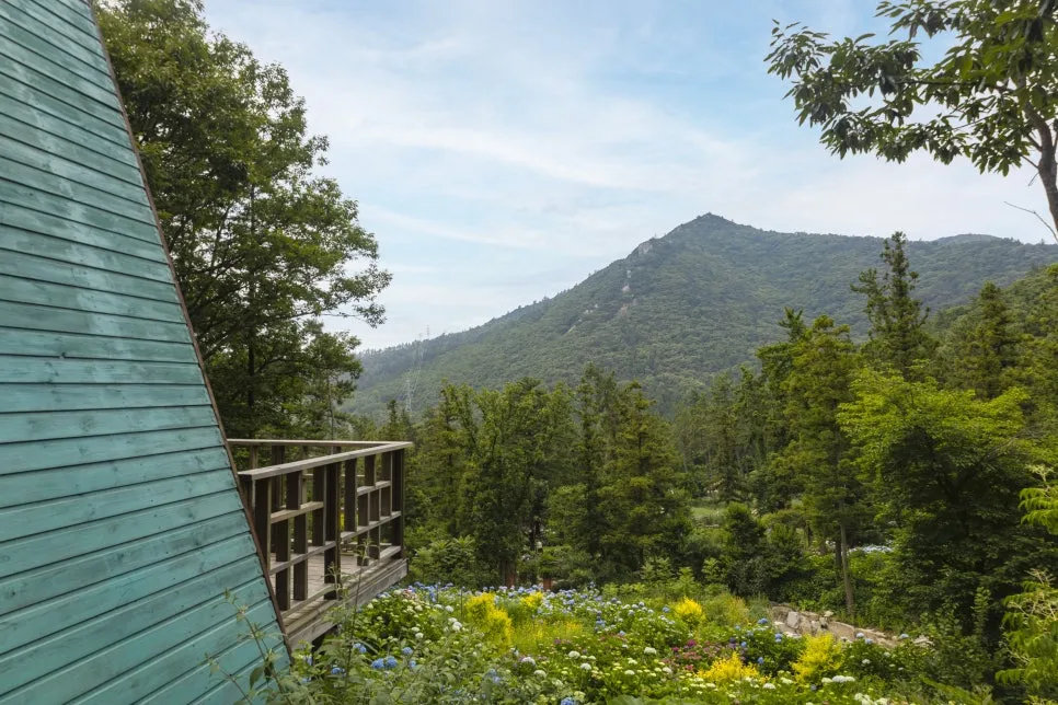 IMG_6971.jpg?type=w966