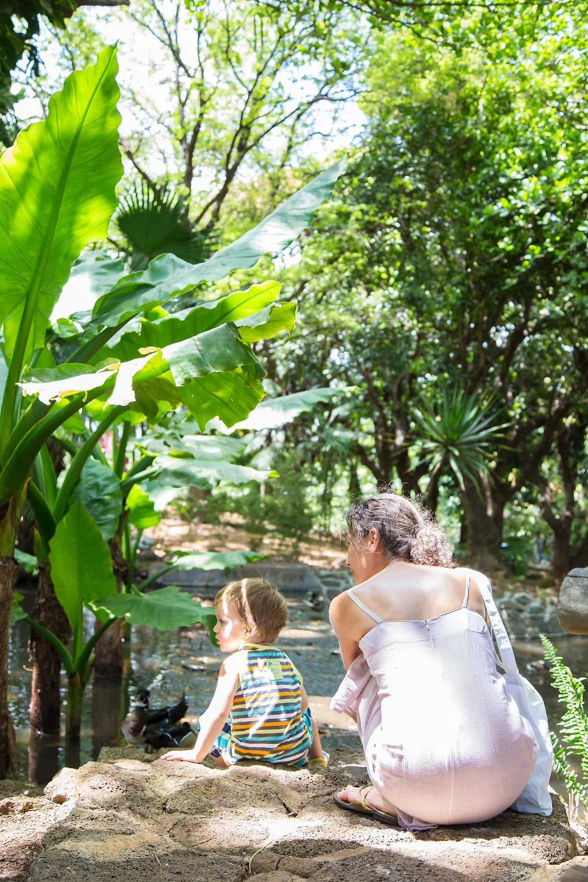 %EC%B9%B4%EC%A0%A4%EB%9D%BC_%ED%92%8D%EA%B2%BD_%287%29.JPG?type=w1200