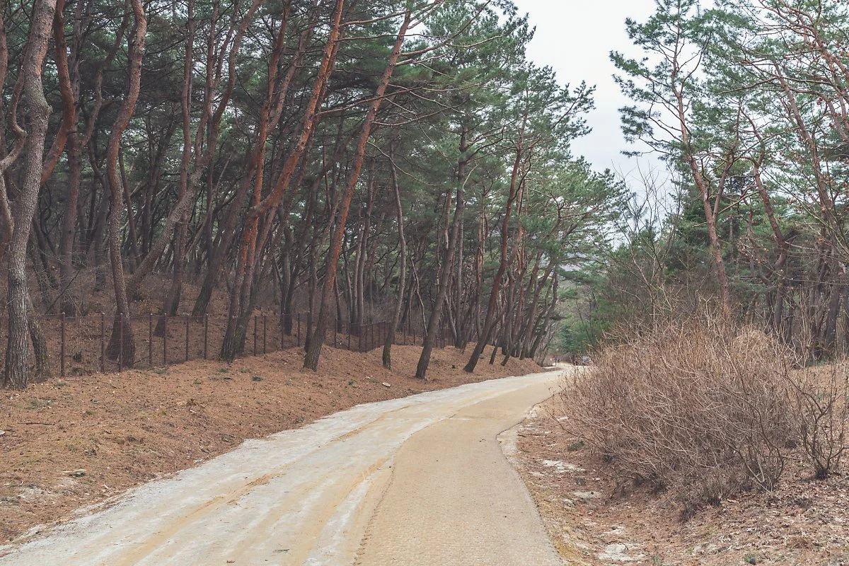 %EC%98%81%EB%85%95%EB%A6%89_%EC%99%95%EC%9D%98%EC%88%B2%EA%B8%B8_00002.jpg?type=w1200