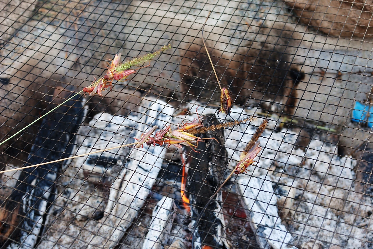 완주와일드푸드축제 (9).JPG