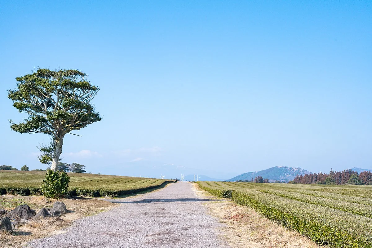 %EC%84%B1%EC%9D%8D_%EB%85%B9%EC%B0%A8%EB%B0%AD_%282%29.jpg?type=w1200