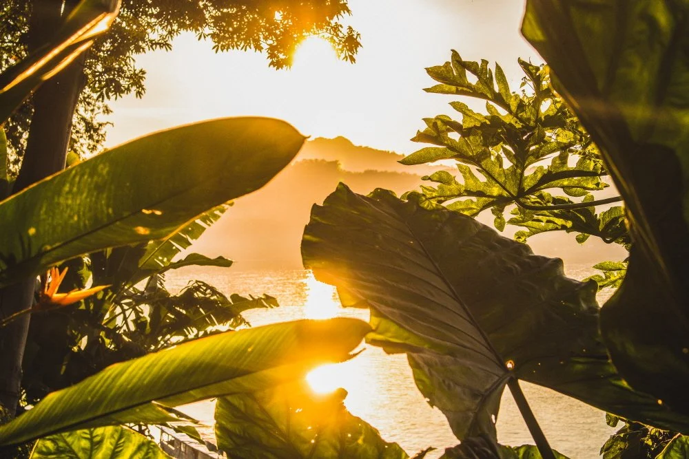 %EC%8B%9C%ED%8C%90%EB%8F%88%EC%9D%98_%EA%B3%A8%EB%93%A0%EC%95%84%EC%9B%8C.jpg?type=w1200