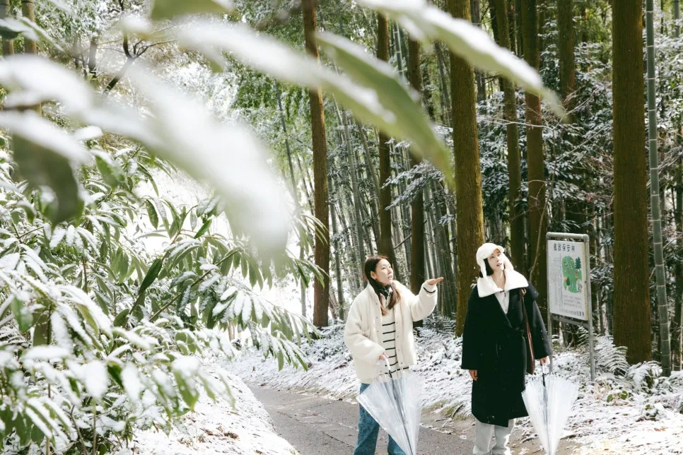 %EB%8B%A4%EC%BC%80%EC%98%A4_%EB%85%B9%EB%82%98%EB%AC%B4(3).jpg?type=w966