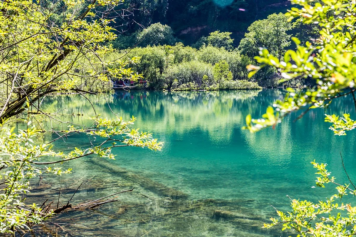 %EA%B5%AC%EC%B1%84%EA%B5%AC_%EB%82%99%EC%9D%BC%EB%9E%91%ED%8F%AD%ED%8F%AC_%286%29.jpg?type=w1200