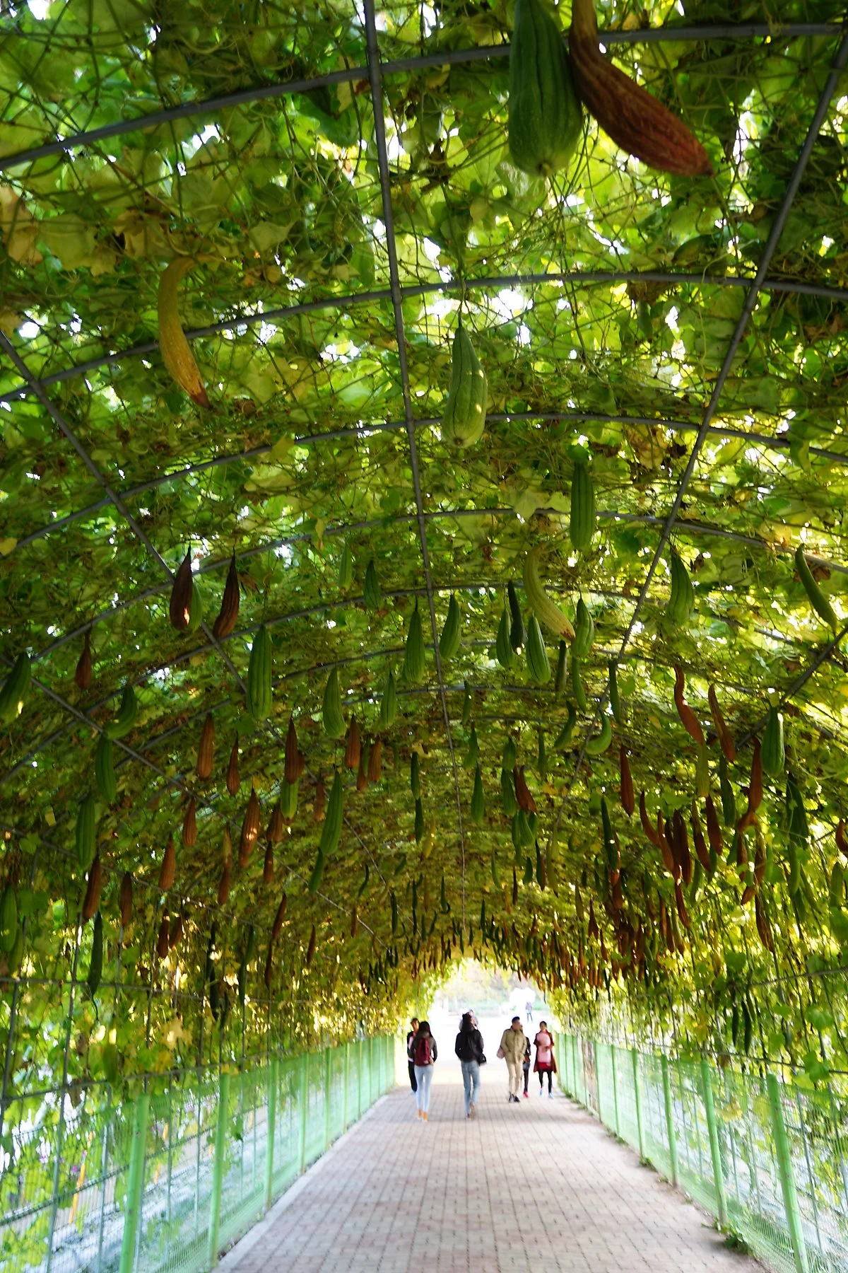 DSC08329.JPG?type=w1200