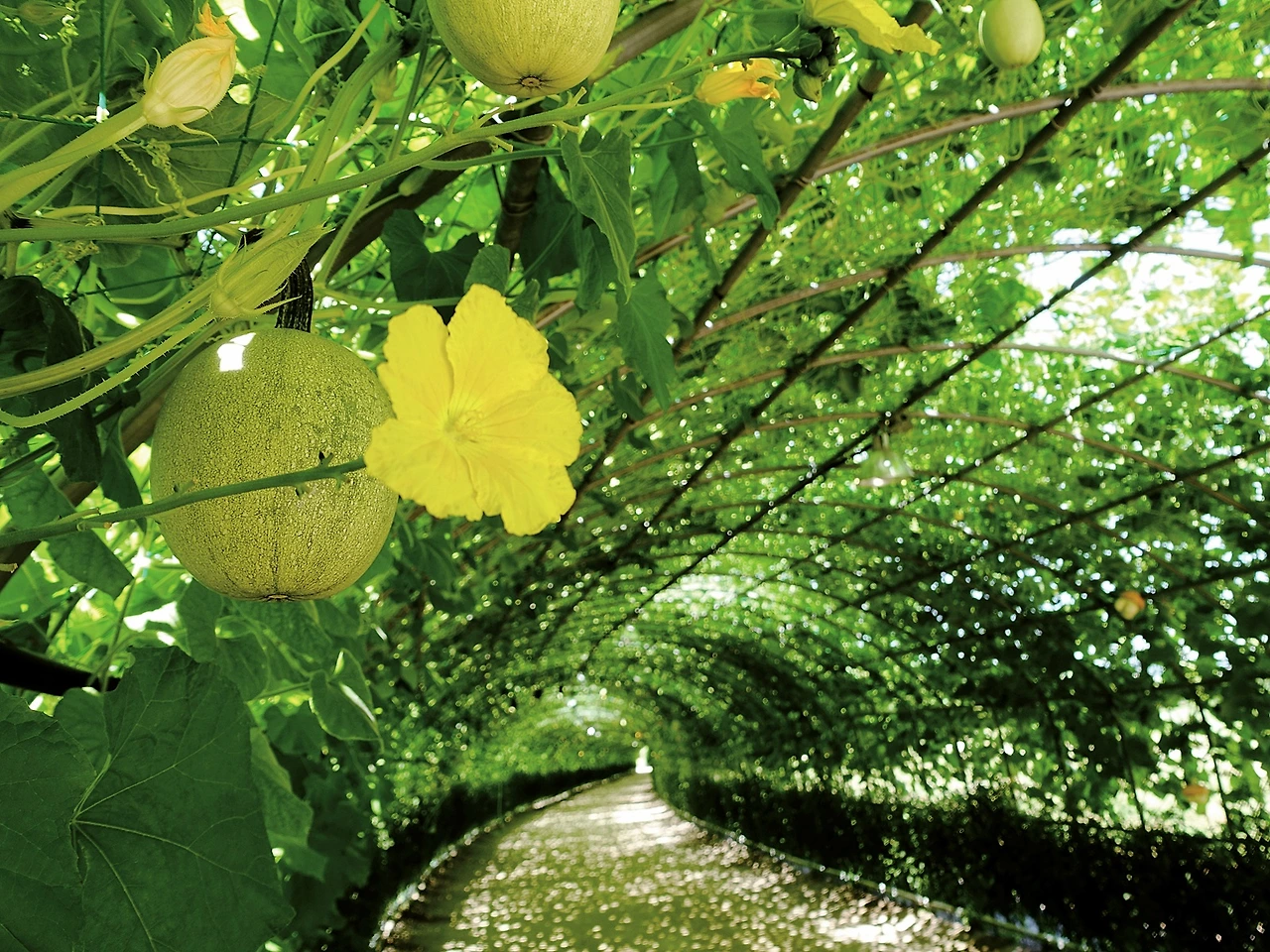 5p도비라_태화강대공원 (2).JPG