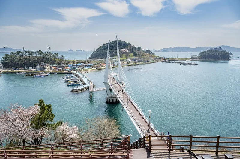 %EC%A7%84%ED%95%B4%ED%95%B4%EC%96%91%EA%B3%B5%EC%9B%90-%284%29.jpg?type=w1200