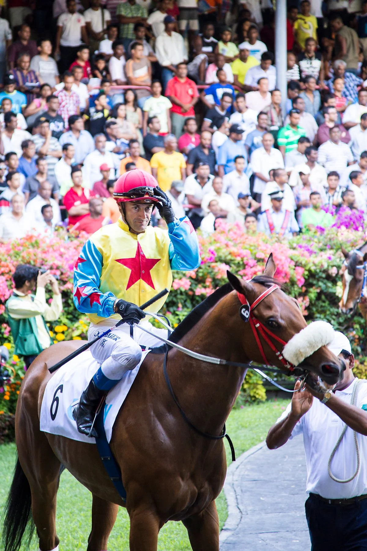 %EC%83%B9%EB%93%9C%EB%A7%88%EB%A5%B4%EC%8A%A4_%EA%B2%BD%EB%A7%88_%28Champs_de_Mars%29_%2810%29.jpg?type=w1200