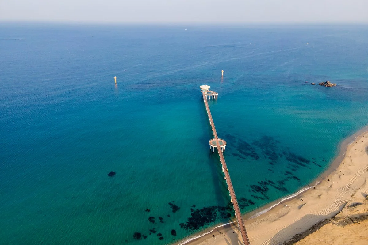 %EA%B5%AD%EB%A6%BD%ED%95%B4%EC%96%91%EB%B0%95%EB%AC%BC%EA%B4%80_%283%29.jpg?type=w1200