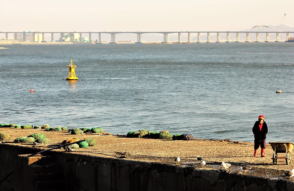 03%ED%95%9C%EC%A7%84%ED%8F%AC%EA%B5%AC_%282%29.JPG?type=w1200