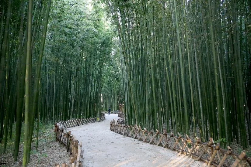 6b66e87e-950e-4272-aa97-b33ebc06cc52.JPG?type=w1200