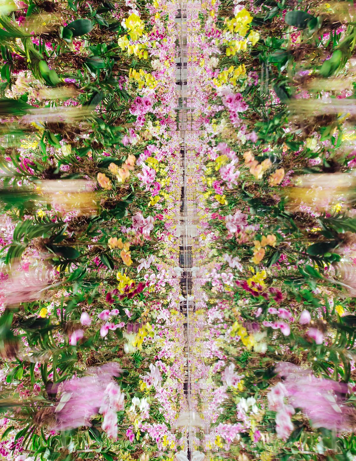 TeamLab_SuperNature_Macao_%285%29.jpg?type=w1200