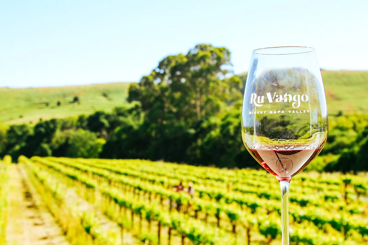 %EC%99%80%EC%9D%B4%EB%84%88%EB%A6%AC_%ED%88%AC%EC%96%B4_%2812%29-2.jpg?type=w1200