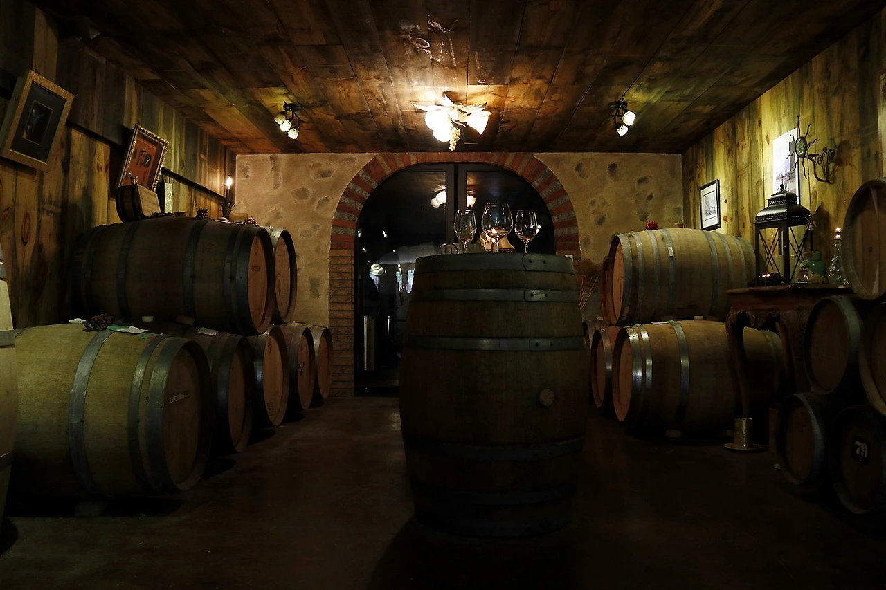 7-5.Domain Darius-Cellar.JPG