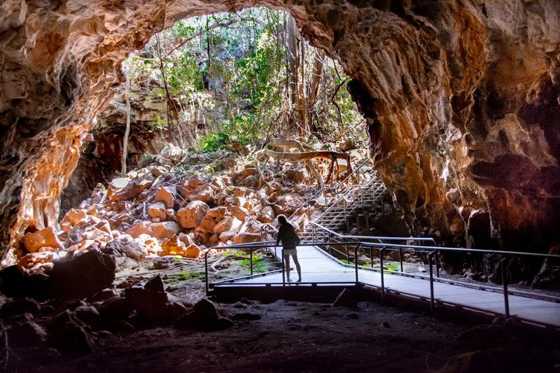 2-6-1.jpg?type=w1200