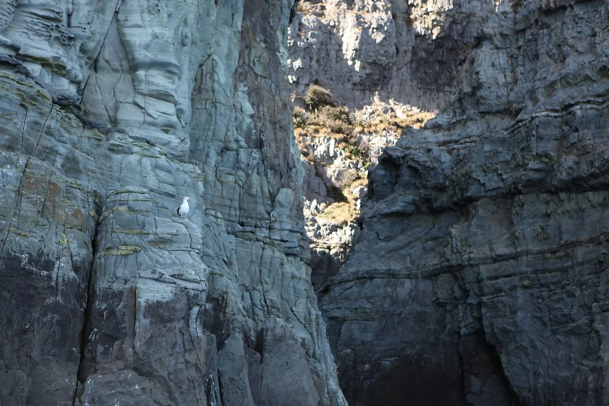 %ED%95%B4%EA%B8%88%EA%B0%95_%285%29.JPG?type=w1200