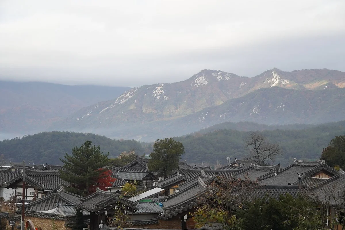 %EA%B1%B0%EC%B0%BD_%ED%99%A9%EC%82%B0%EC%A0%84%ED%86%B5%ED%95%9C%EC%98%A5%EB%A7%88%EC%9D%84.JPG?type=w1200