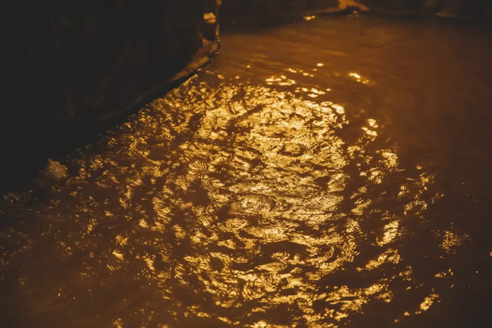 07_F7A0849.jpg?type=w966