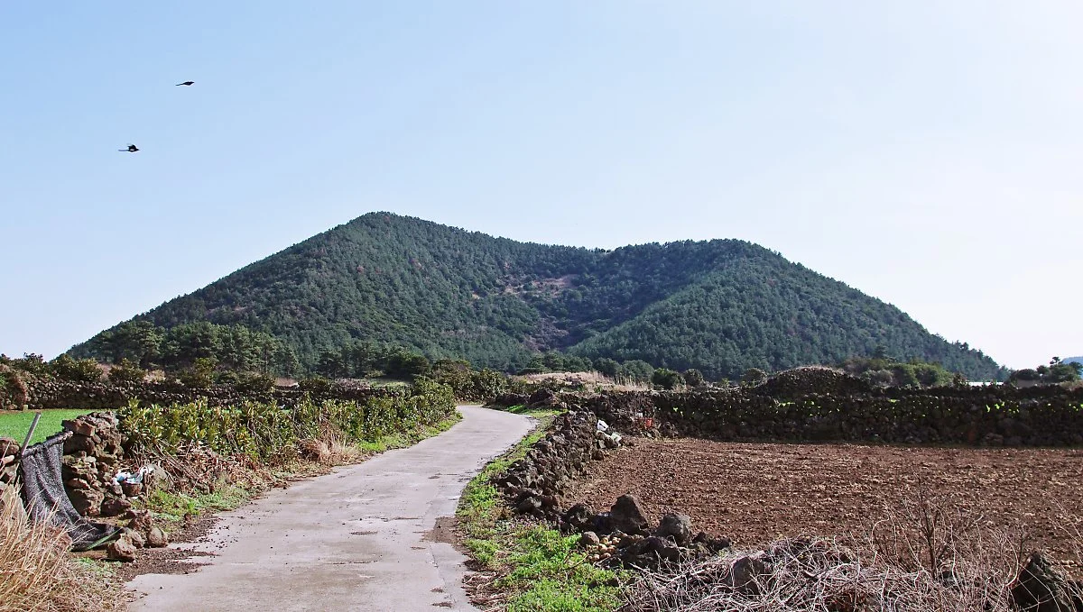 %EC%A7%80%EB%AF%B8%EB%B4%89.JPG?type=w1200