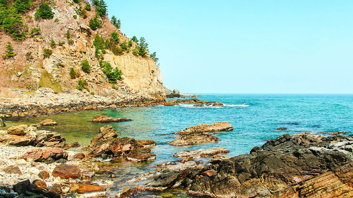 %EB%B0%94%EB%8B%A4%EB%B6%80%EC%B1%84%EA%B8%B8_%281%29.jpg?type=w1200