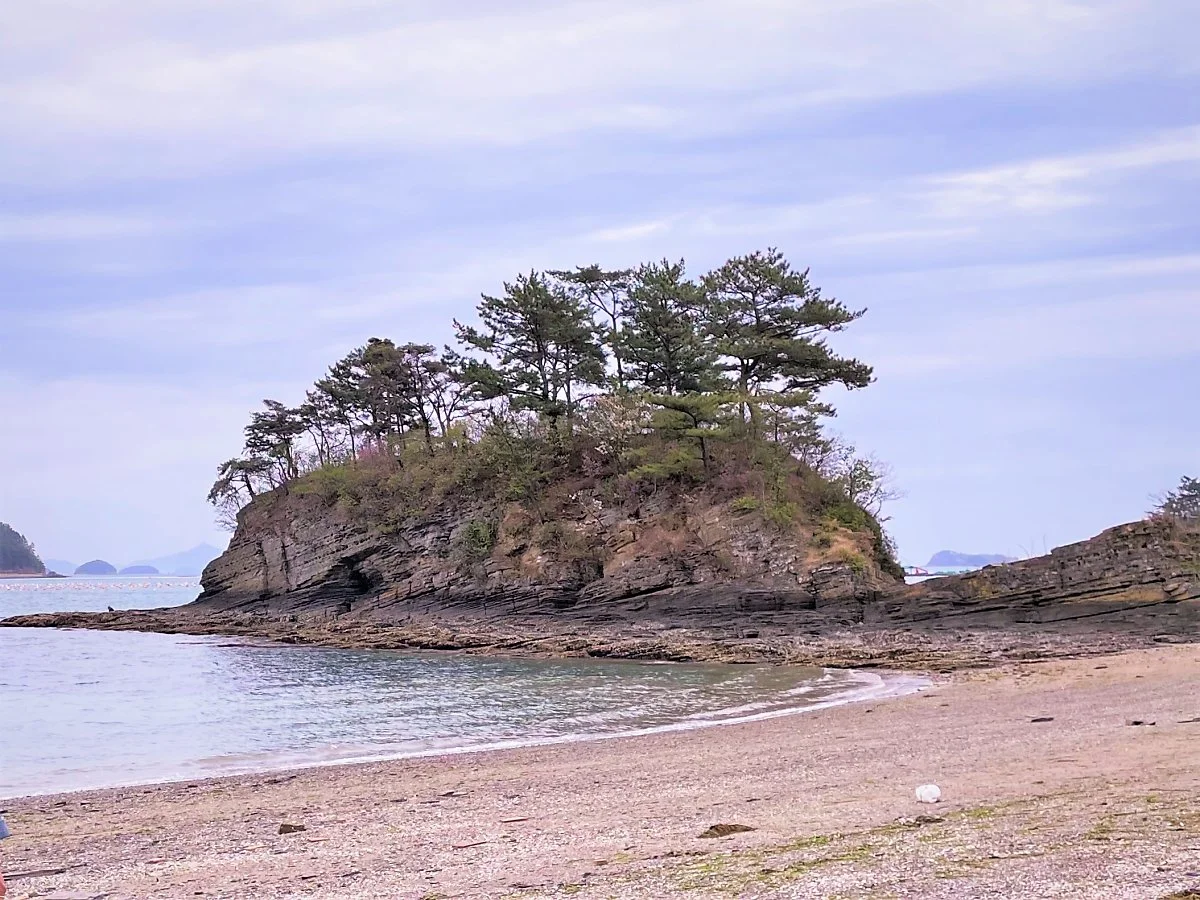 %EA%B3%A0%EC%84%B1_%EC%86%94%EC%84%AC_%281%29.jpg?type=w1200