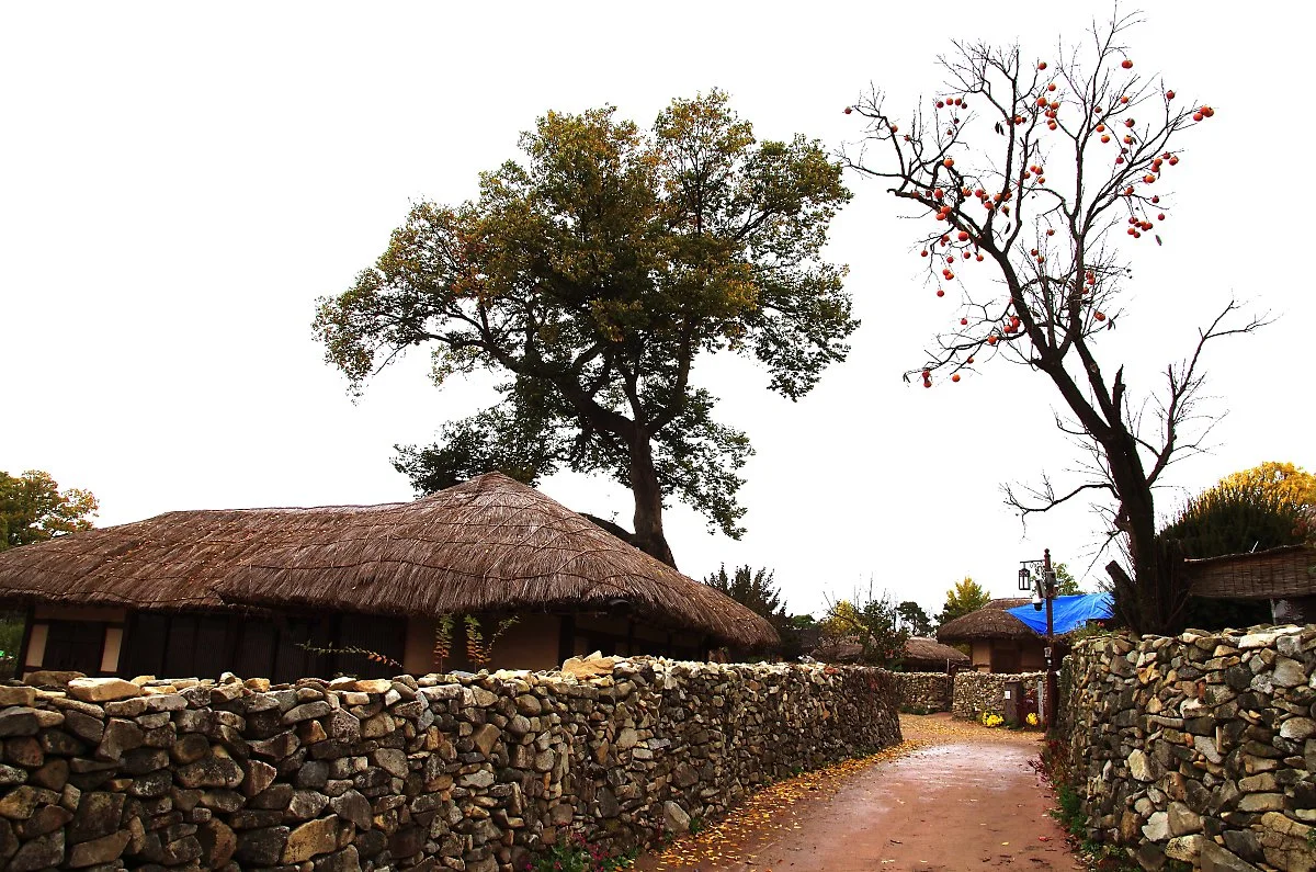 %EC%99%B8%EC%95%94%EB%AF%BC%EC%86%8D%EB%A7%88%EC%9D%84_%EB%8F%8C%EB%8B%B4%EA%B8%B8.JPG?type=w1200