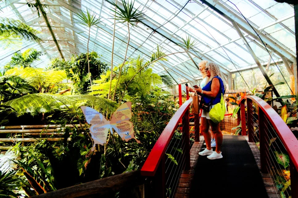 %ED%98%B8%EC%A3%BC_%EB%82%98%EB%B9%84_%EB%B3%B4%ED%98%B8_%EA%B5%AC%EC%97%AD_(3).jpg?type=w966