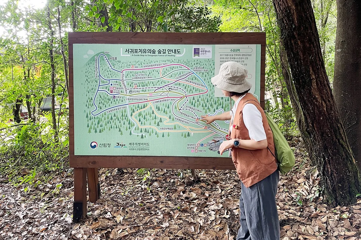 %EC%84%9C%EA%B7%80%ED%8F%AC%EC%B9%98%EC%9C%A0%EC%9D%98%EC%88%B2_%2829%29.JPG?type=w1200