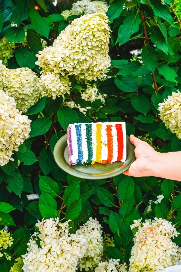 %EB%A7%88%ED%98%B8%EA%B0%80%EB%8B%88_%EA%B0%95%ED%99%94%EC%A0%90_11.jpg?type=w1200