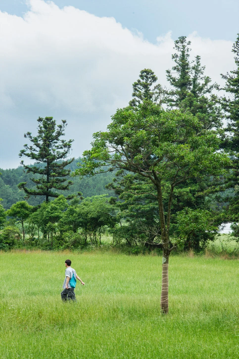 23_%EB%B9%84%EB%B0%80%EC%9D%98_%EC%88%B2_%EB%AA%A9%EC%B4%88%EC%A7%80%EB%8F%84_%EB%B9%BC%EB%86%93%EC%9D%84_%EC%88%98_%EC%97%86%EB%8A%94_%EC%82%AC%EC%A7%84_%EB%AA%85%EC%86%8C%EB%8B%A4.jpg?type=w966