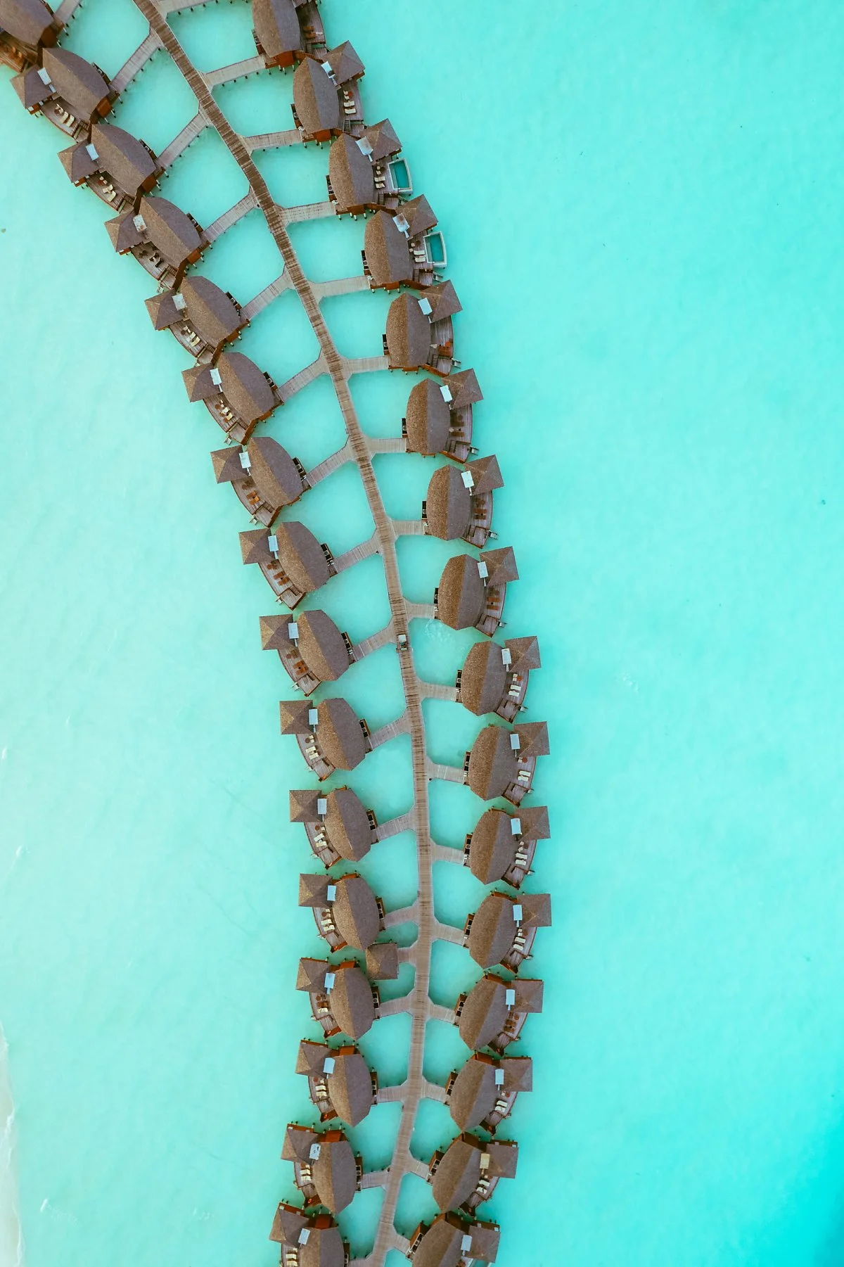 %EB%AA%B0%EB%94%94%EB%B8%8C_%EB%93%9C%EB%A1%A0_-8.jpg?type=w1200