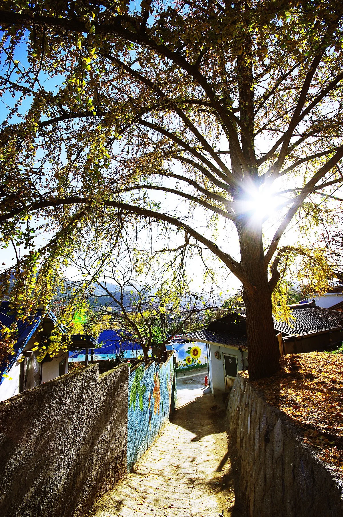 %EC%9E%90%EB%A7%8C%EB%A7%88%EC%9D%84_%EB%8B%A8%ED%92%8D_%EB%93%A0_%EB%82%98%EB%AC%B4%EC%99%80_%EA%B3%A8%EB%AA%A9%2C_%EA%B3%A8%EB%AA%A9_%EB%B2%BD%ED%99%94%EA%B0%80_%EC%96%B4%EC%9A%B8%EB%A6%B0_%ED%92%8D%EA%B2%BD.JPG?type=w1200