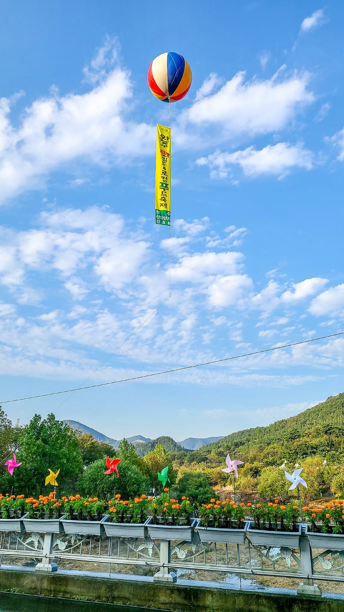 %EC%99%80%EC%9D%BC%EB%93%9C%EC%95%A4%EB%A1%9C%EC%BB%AC%ED%91%B8%EB%93%9C%EC%B6%95%EC%A0%9C1.jpg?type=w1200