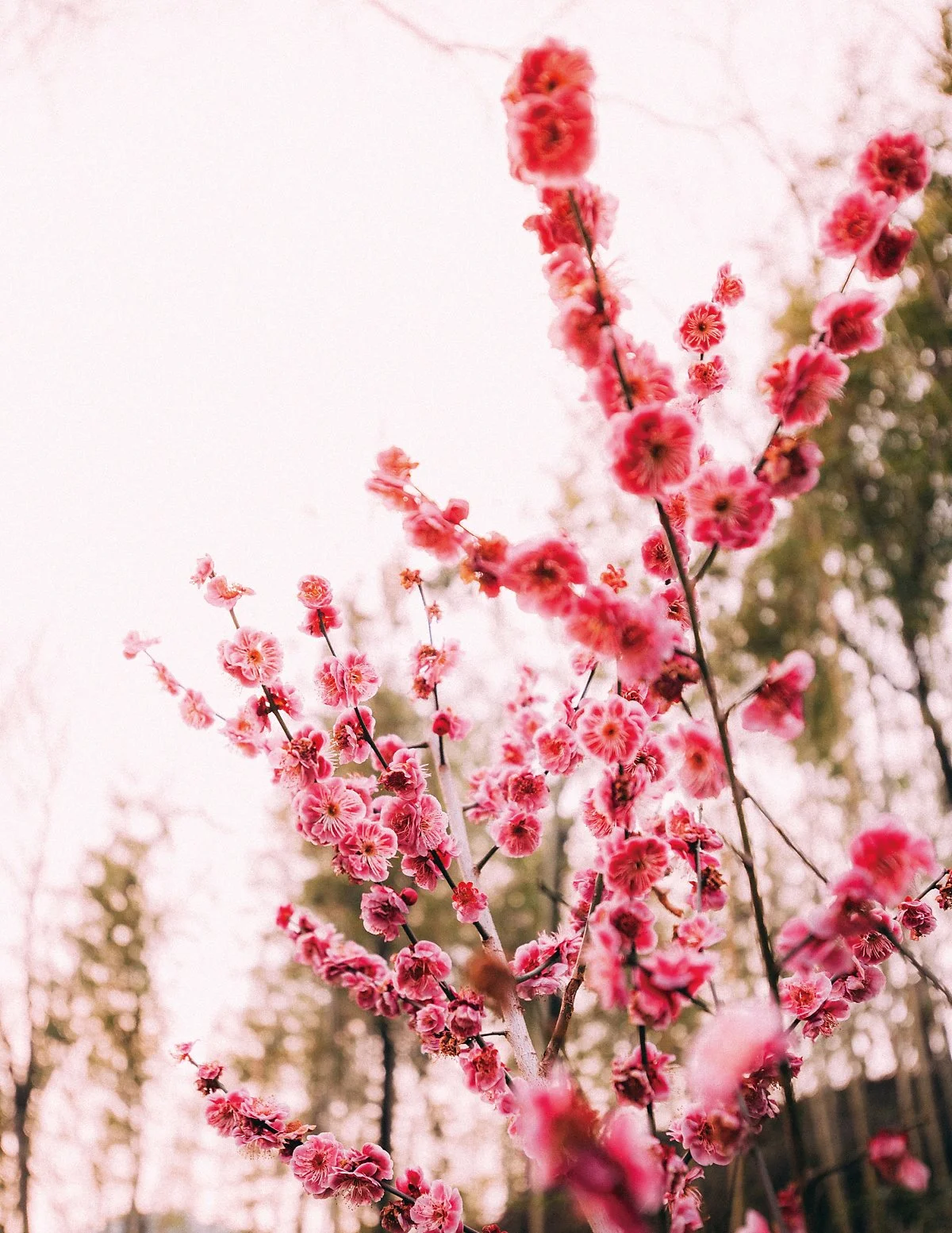 %ED%95%98%EB%8F%99.jpg?type=w1200