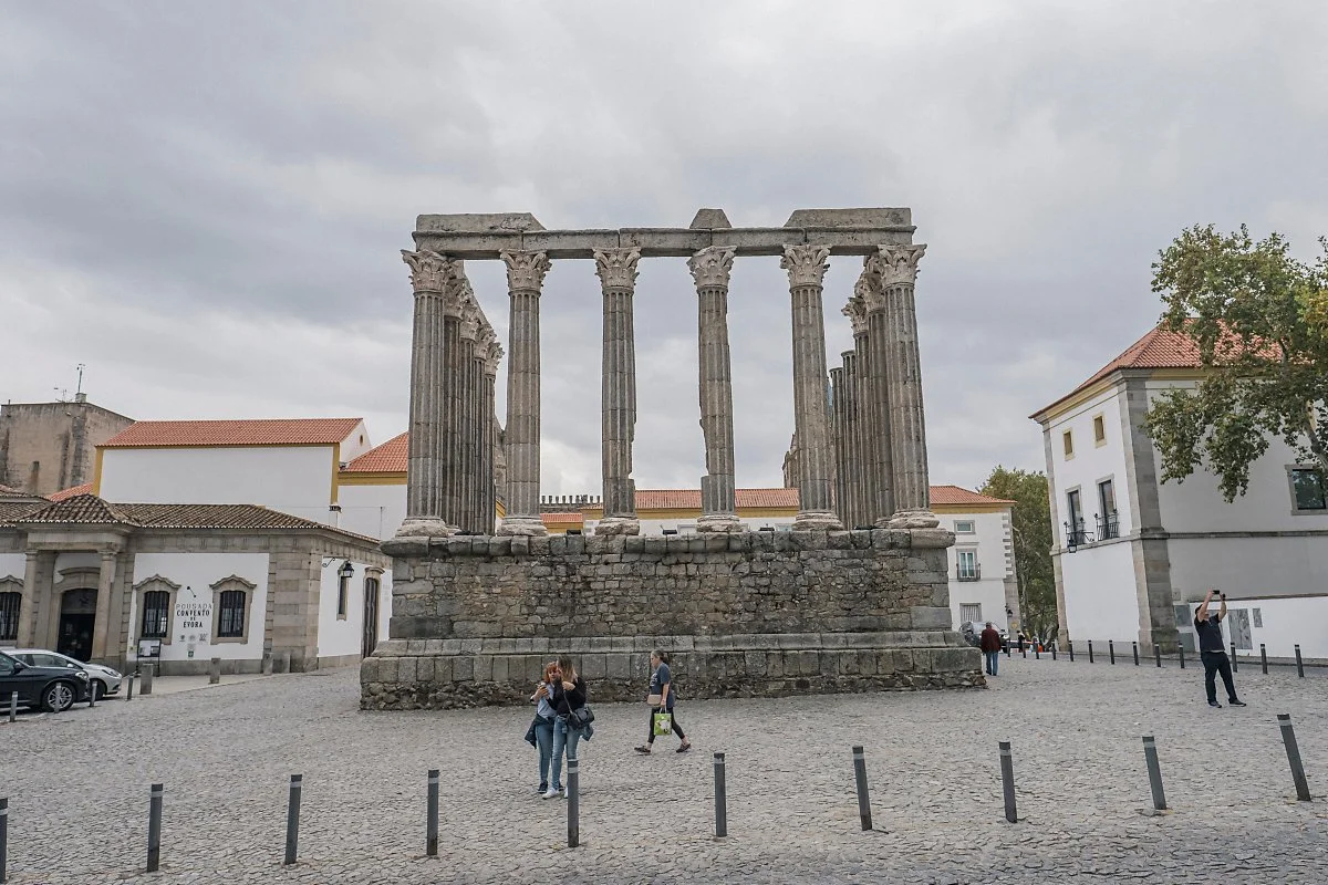 _DSF5889.jpg?type=w1200