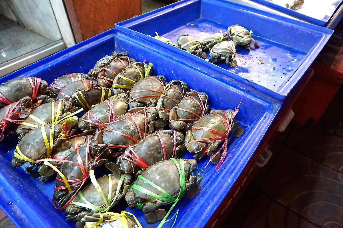 04-2TnK%EC%94%A8%ED%91%B8%EB%93%9C_%284%29.JPG?type=w1200