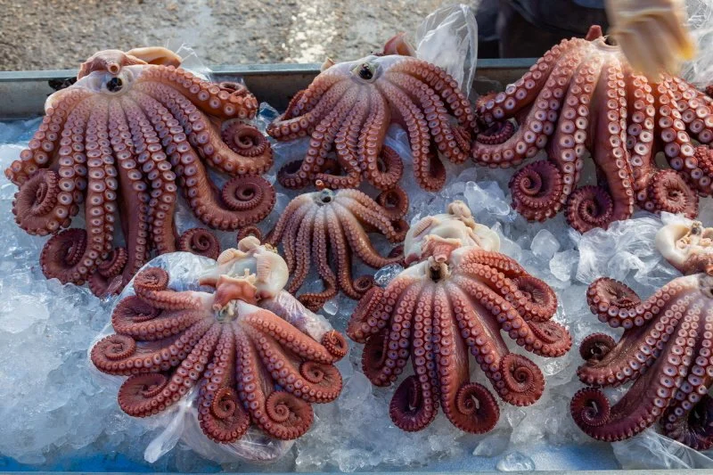 %EB%85%BC%EA%B3%A8%EB%8B%B4%EA%B8%B8%EA%B3%BC_%EB%93%B1%EB%8C%80%2C_%EB%AC%B5%ED%98%B8%ED%95%AD_%286%29.jpg?type=w1200