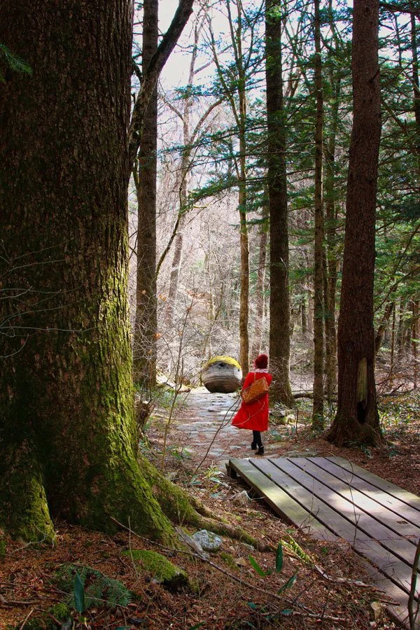 01-001.jpg?type=w1200