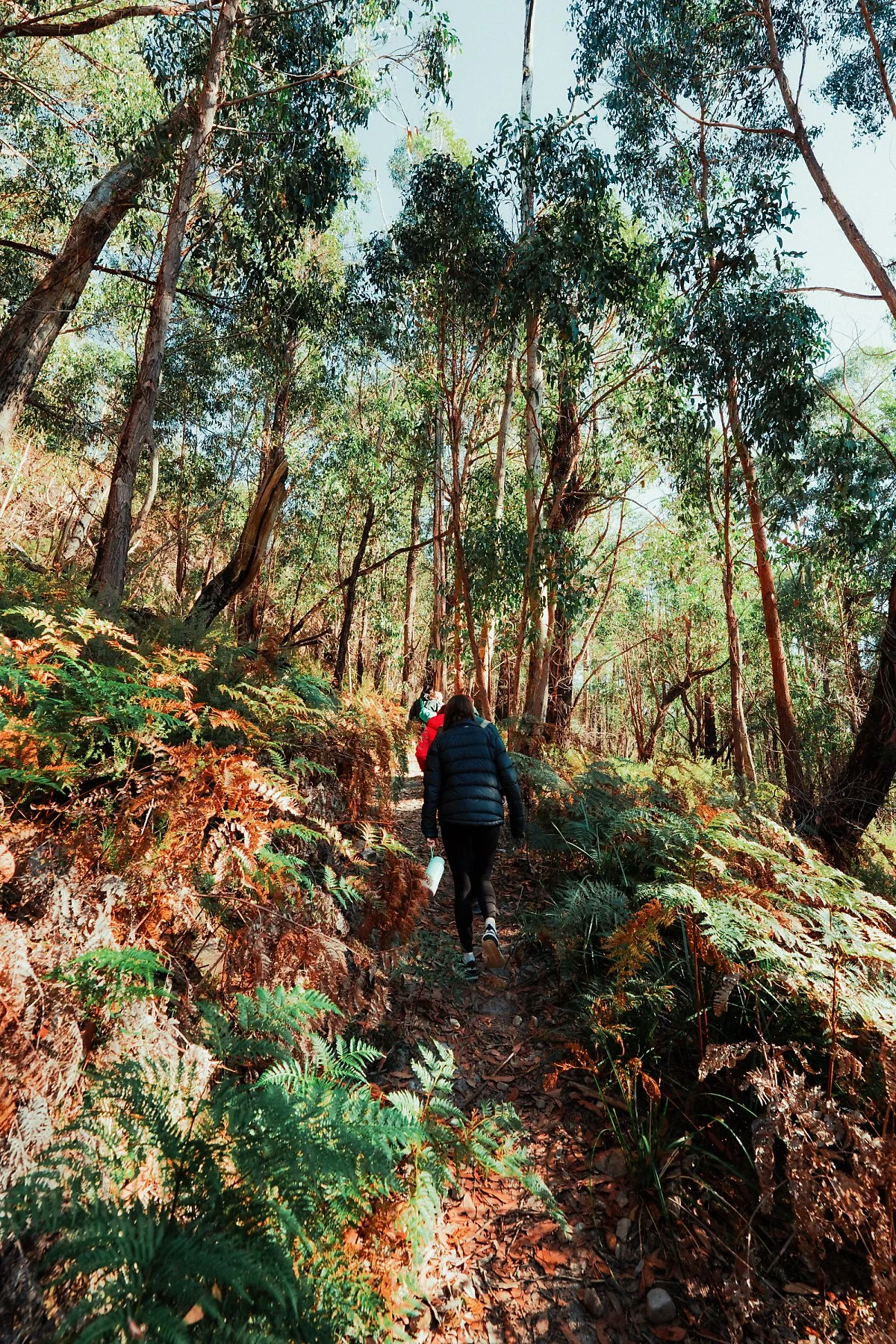 %EA%B7%B8%EB%9E%A8%ED%94%BC%EC%96%B8%EC%8A%A4_%ED%94%BC%ED%81%AC_%ED%8A%B8%EB%A0%88%EC%9D%BC_%285%29.jpg?type=w1200