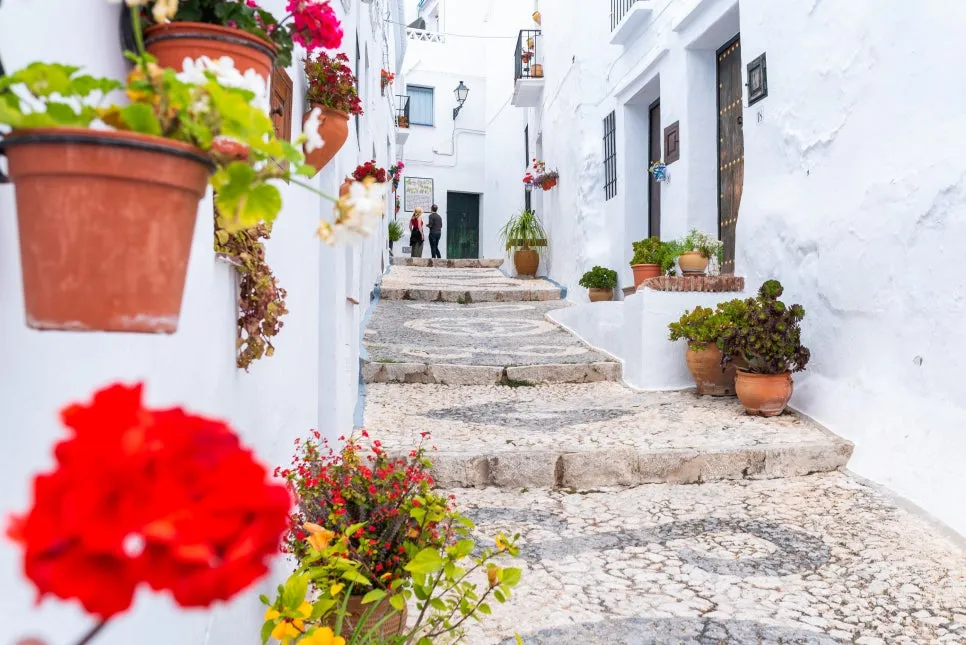 Frigiliana_227_20211130091734_43404.jpg?type=w966