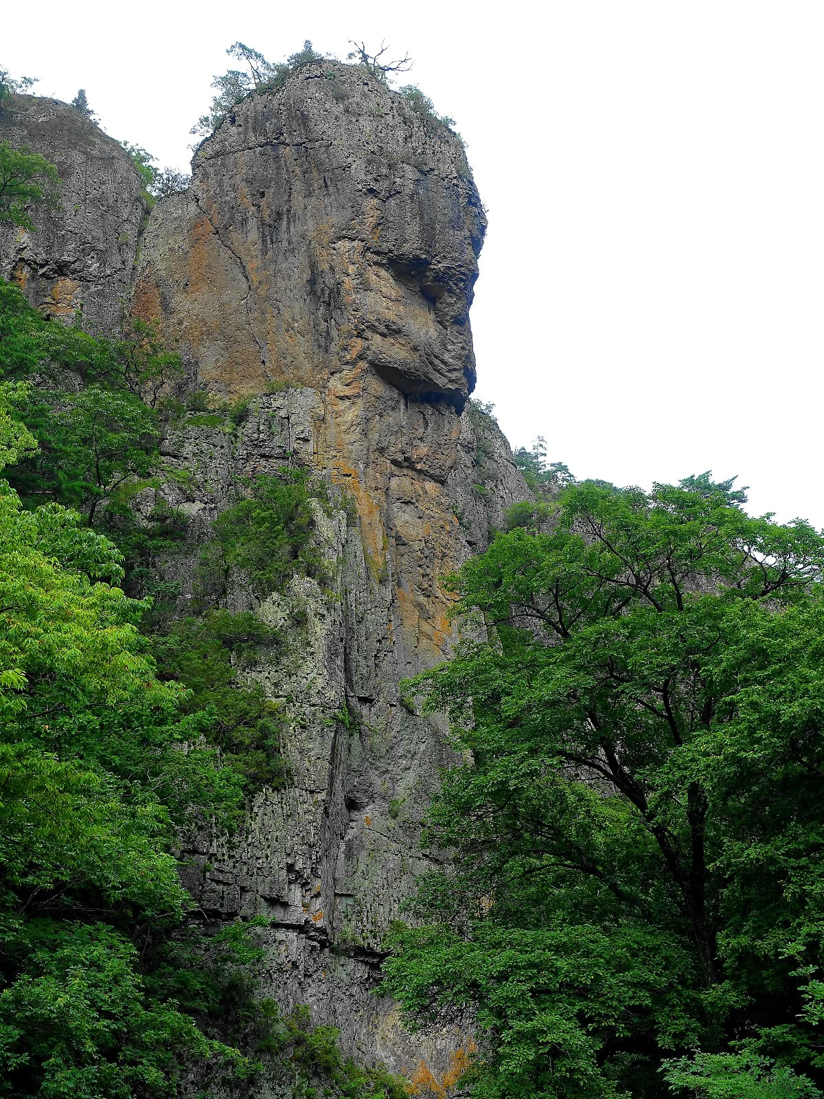 %EC%A3%BC%EC%99%95%EC%82%B0%EA%B5%AD%EB%A6%BD%EA%B3%B5%EC%9B%902.jpg?type=w1200